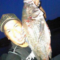 朝マヅメにチヌトップ